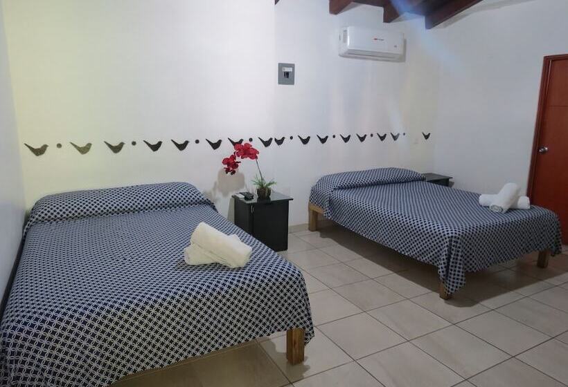 غرفة قياسية رباعية, Posada Comala