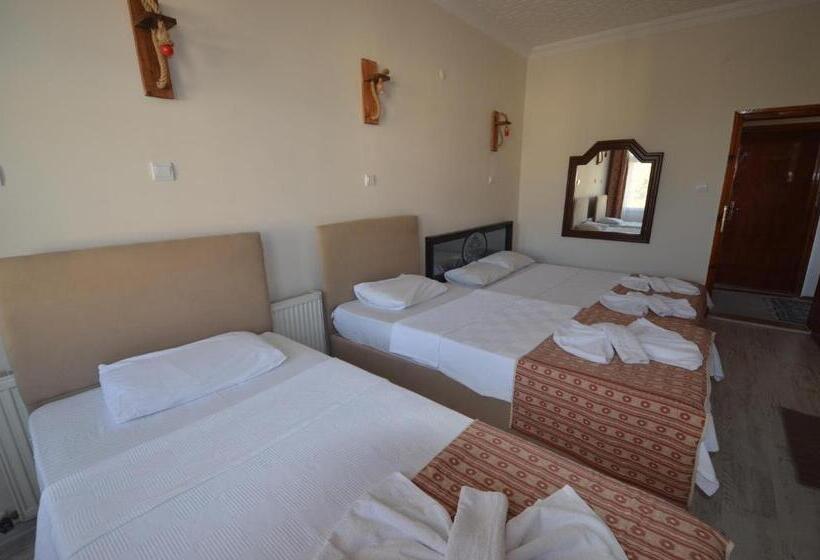 اتاق استاندارد چهار تخته, Prokopi