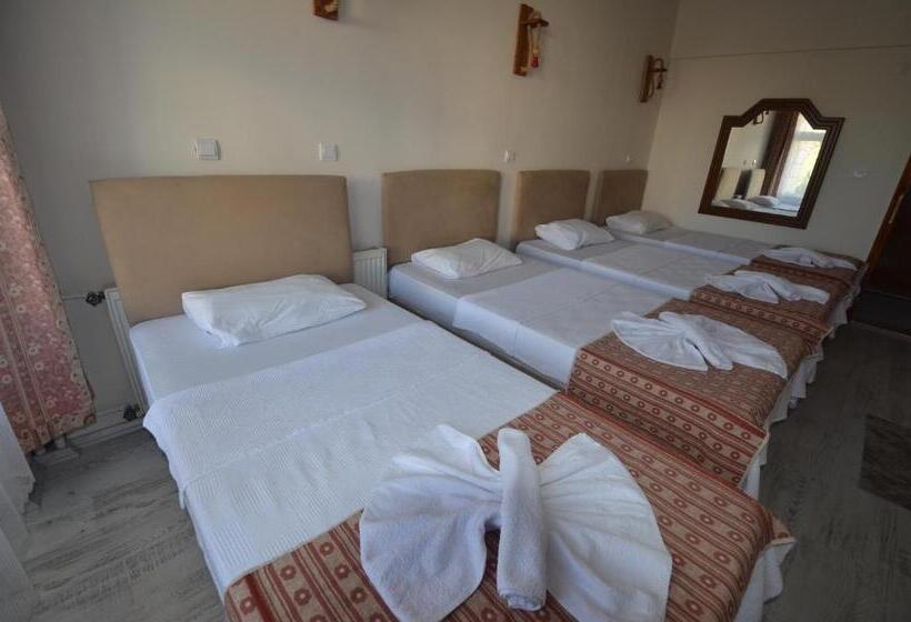 اتاق استاندارد چهار تخته, Prokopi