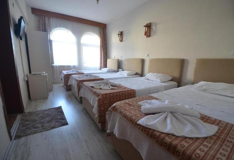 اتاق استاندارد چهار تخته, Prokopi