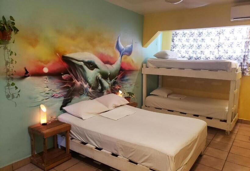 スタンダード４人部屋, Tres Mundos Hostel