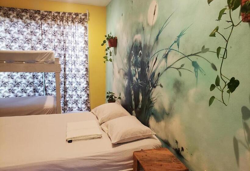 浴室共有スタンダード４人用ルーム, Tres Mundos Hostel