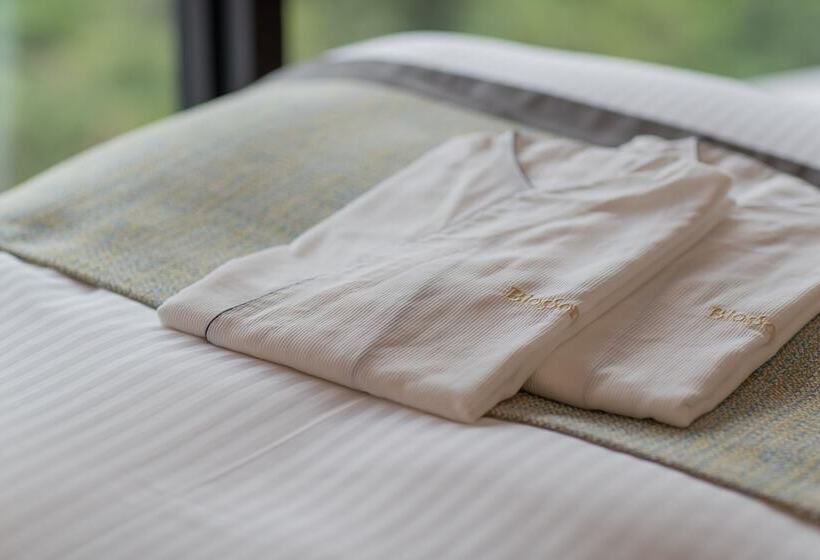 디럭스 룸, Jr Kyushu Hotel Blossom Naha