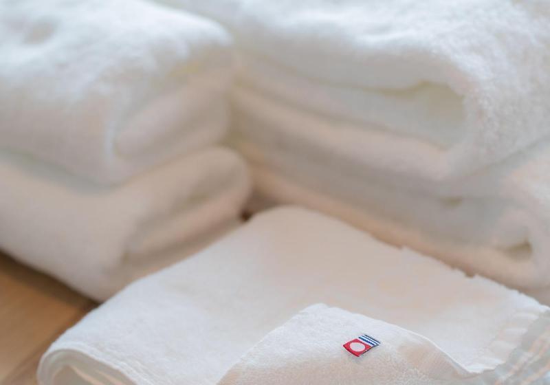 디럭스 룸, Jr Kyushu Hotel Blossom Naha