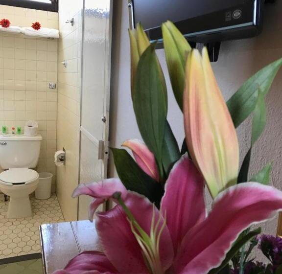 Номер Стандарт, Ojo De Agua