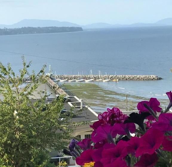 Люкс Вид на Море, Donna's Bed & Breakfast