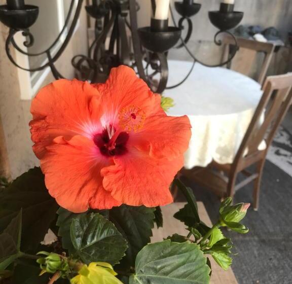 Люкс Вид на Море, Donna's Bed & Breakfast