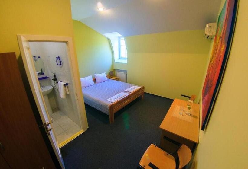 اتاق استاندارد با تخت بزرگ, Saint Paul Odessa