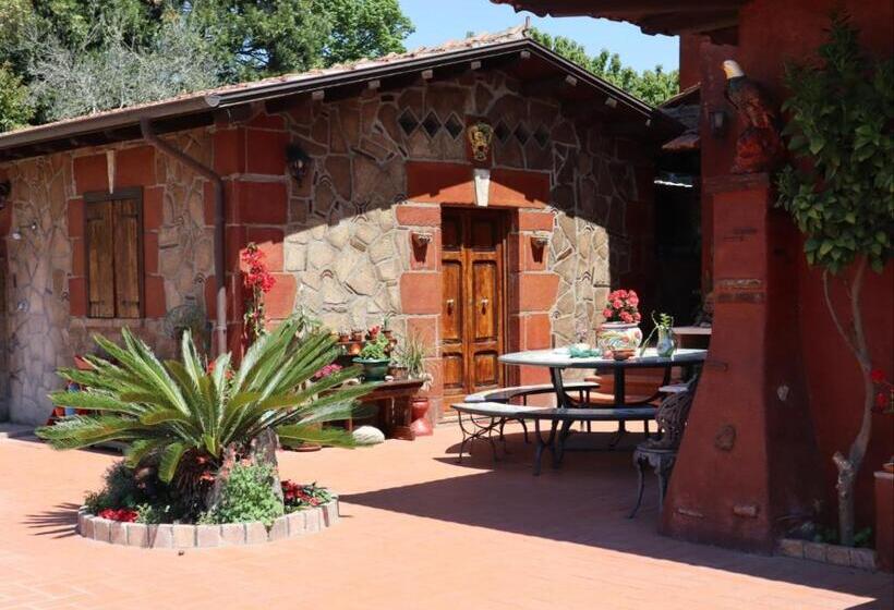 スタンダードルーム, Casal D'upupa