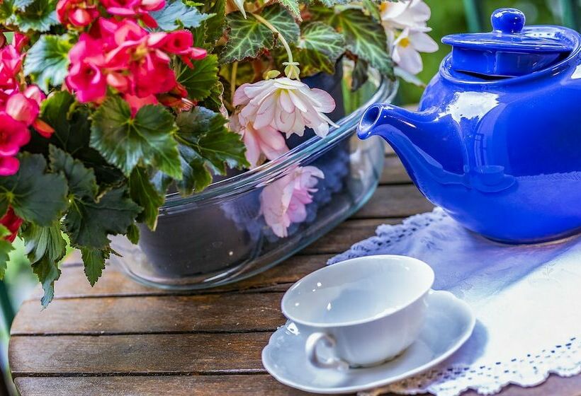 スタンダードスタジオ, Rita's Garden