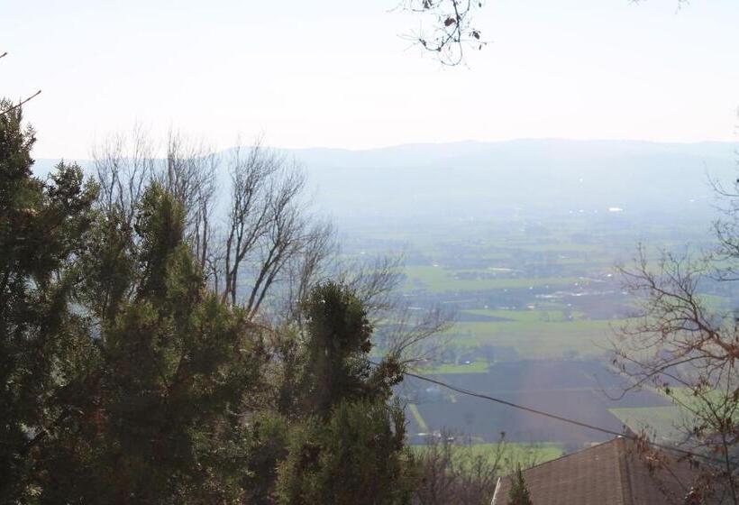 اتاق استاندارد, Sogni D'assisi