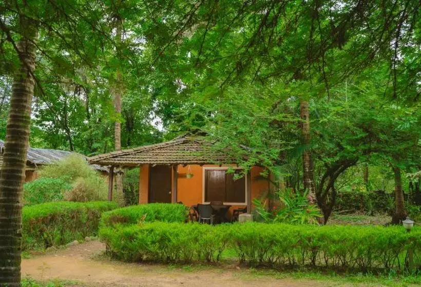 スタンダードルーム, Nature S Nest Eco Resort Goa, Near Dudhsagar Waterfalls