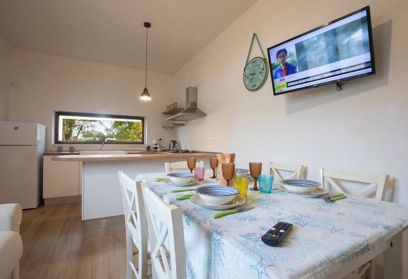 شقة سوبريور غرفة واحدة, Stella Marina B&b