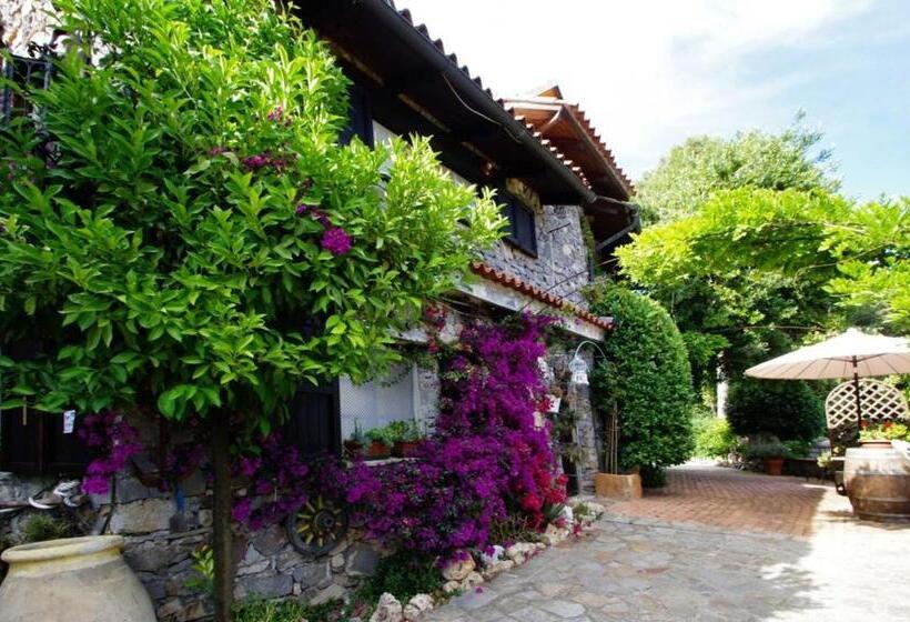 غرفة قياسية, Ca' Datu