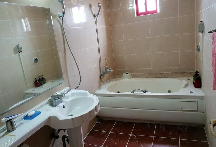 اتاق استاندارد, Plus Motel