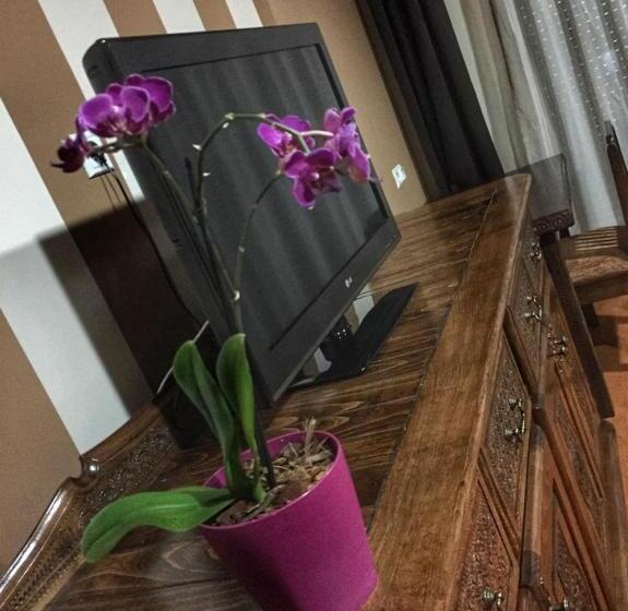 اتاق استاندارد, Oaza