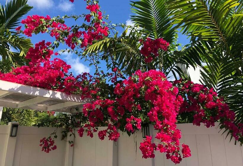 带大床的标准间, The Big Coconut Guesthouse   Gay Men S Resort