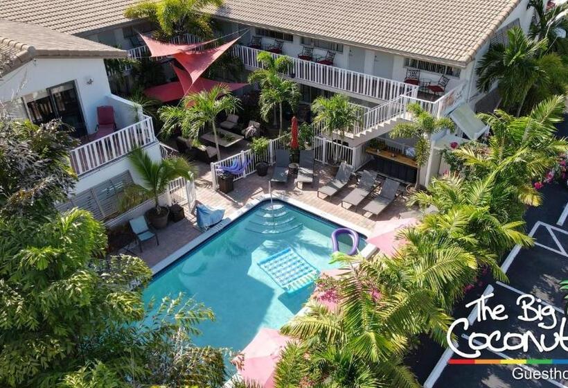 带大床的标准间, The Big Coconut Guesthouse   Gay Men S Resort