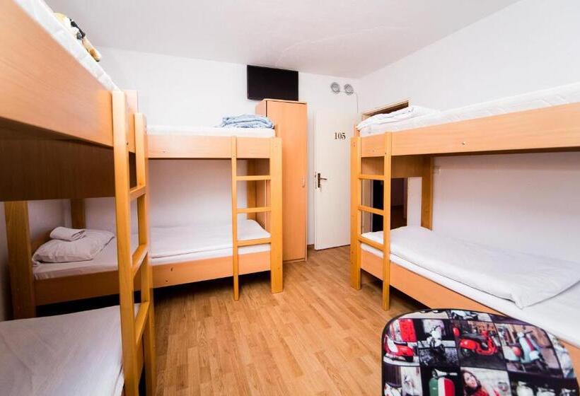 اتاق استاندارد با سرویس بهداشتی مشترک, Hostel Herz