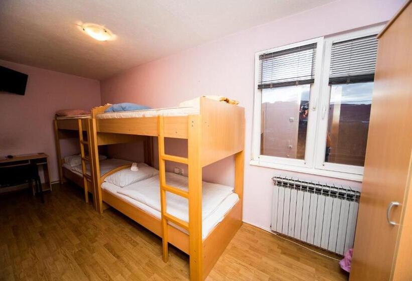 اتاق استاندارد با سرویس بهداشتی مشترک, Hostel Herz