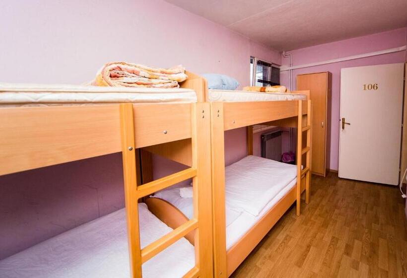 اتاق استاندارد با سرویس بهداشتی مشترک, Hostel Herz