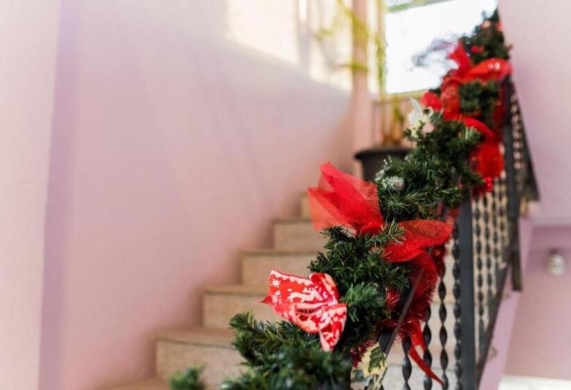 اتاق استاندارد با سرویس بهداشتی مشترک, Hostel Herz