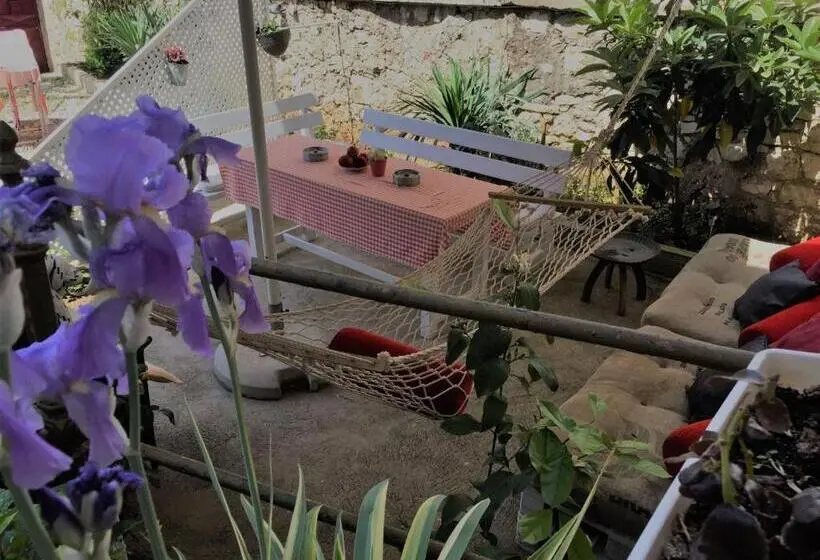 تختخواب در اتاق مشترک, Hostel Musala