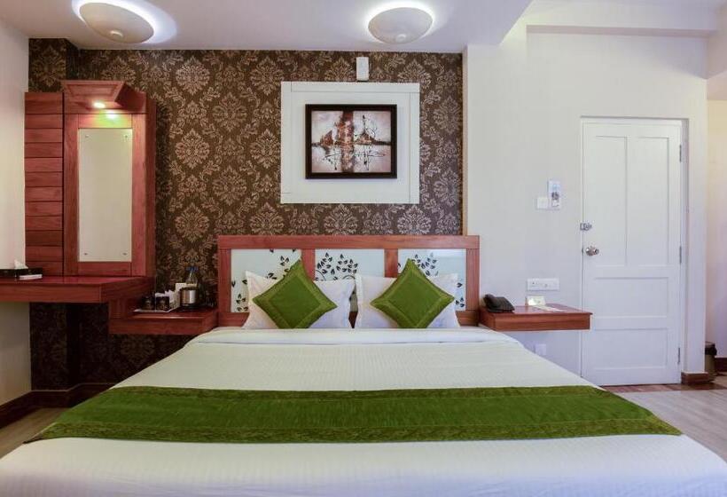 豪华房间, Treebo The Qasr