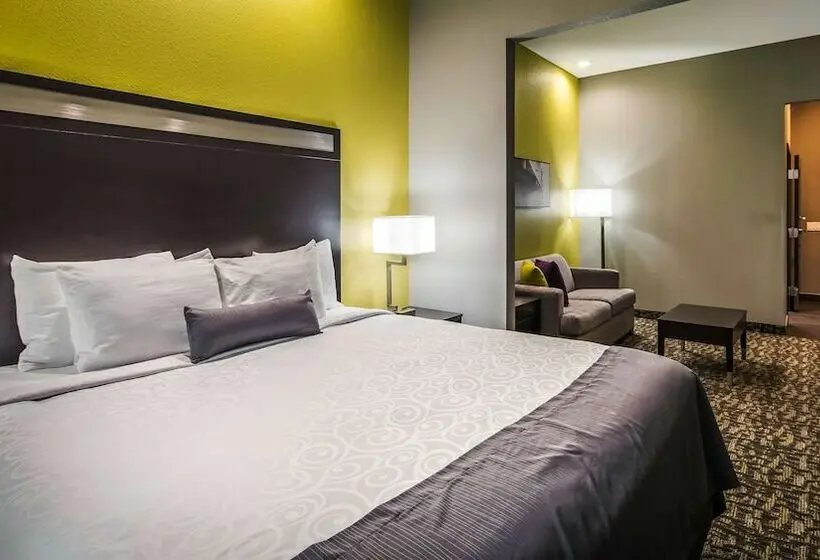 スイート, Best Western Plus Bay City Inn & Suites
