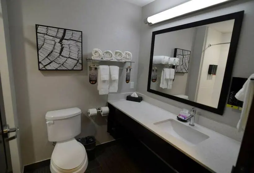 スイート, Best Western Plus Bay City Inn & Suites