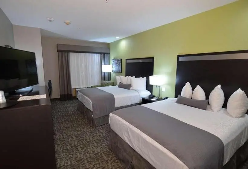 身障者適用スイートルーム, Best Western Plus Bay City Inn & Suites