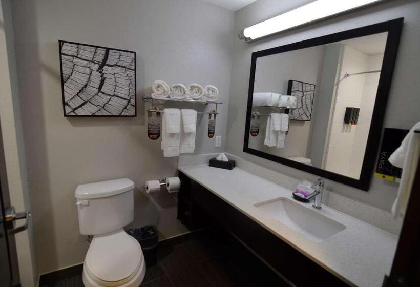 장애인을 위한 스위트, Best Western Plus Bay City Inn & Suites