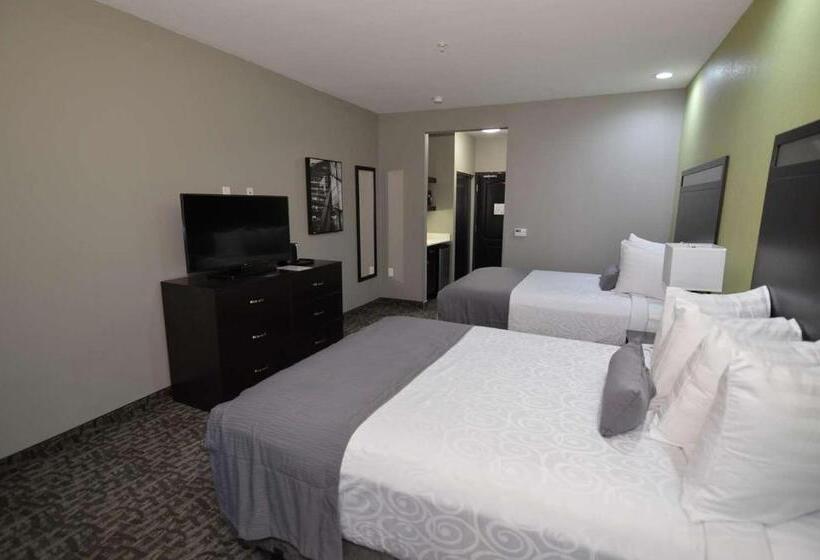 스탠다드 룸, Best Western Plus Bay City Inn & Suites