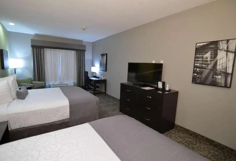 スタンダードルーム, Best Western Plus Bay City Inn & Suites