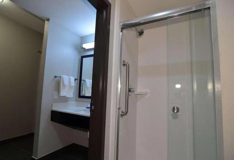 キングサイズベッドのスタンダードルーム, Best Western Plus Bay City Inn & Suites