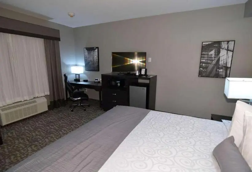 キングサイズベッドのスタンダードルーム, Best Western Plus Bay City Inn & Suites