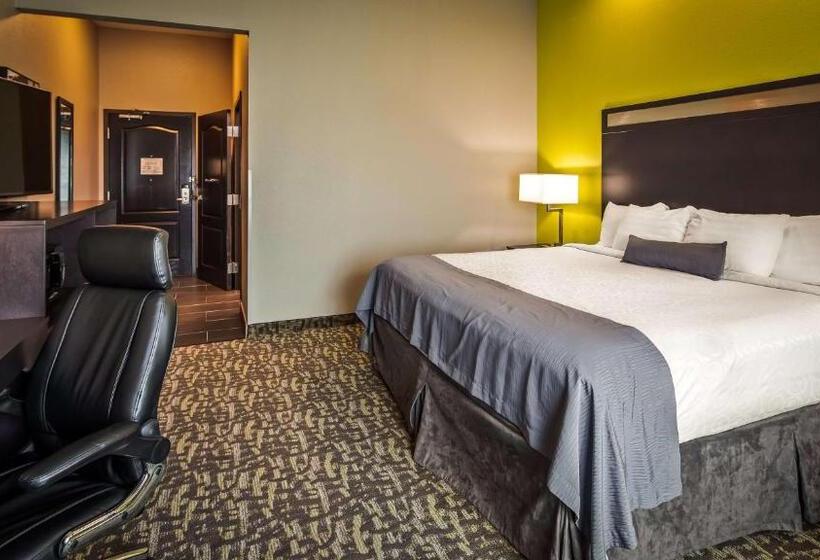 스탠다드 룸 킹사이즈 침대, Best Western Plus Bay City Inn & Suites