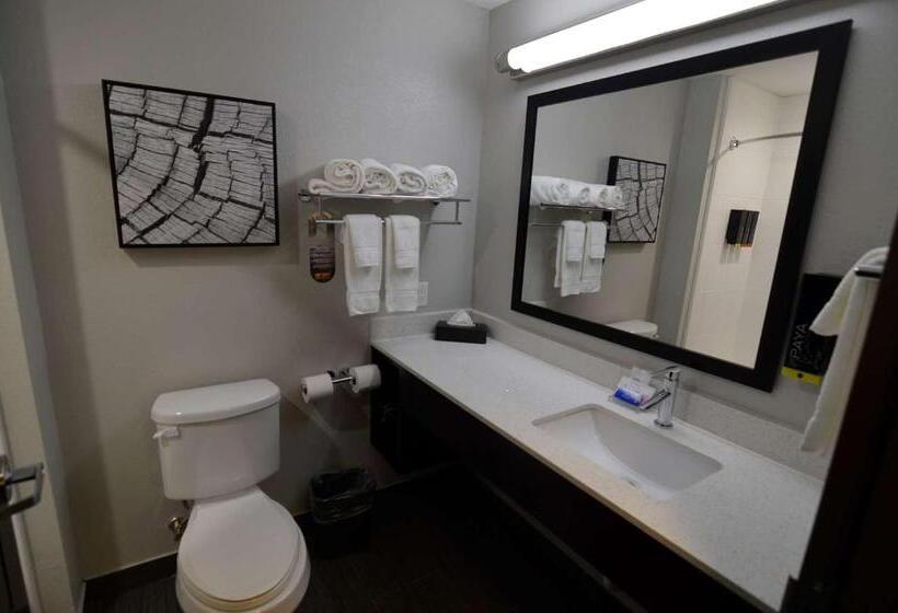 Люкс Кровать Кинг, Best Western Plus Bay City Inn & Suites