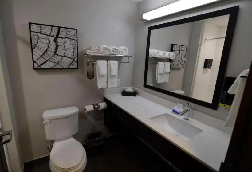 身障者適用キングサイズベッドルーム, Best Western Plus Bay City Inn & Suites