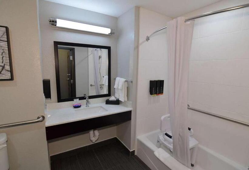 Номер Стандарт Кровать Кинг Адаптированный для Инвалидов, Best Western Plus Bay City Inn & Suites