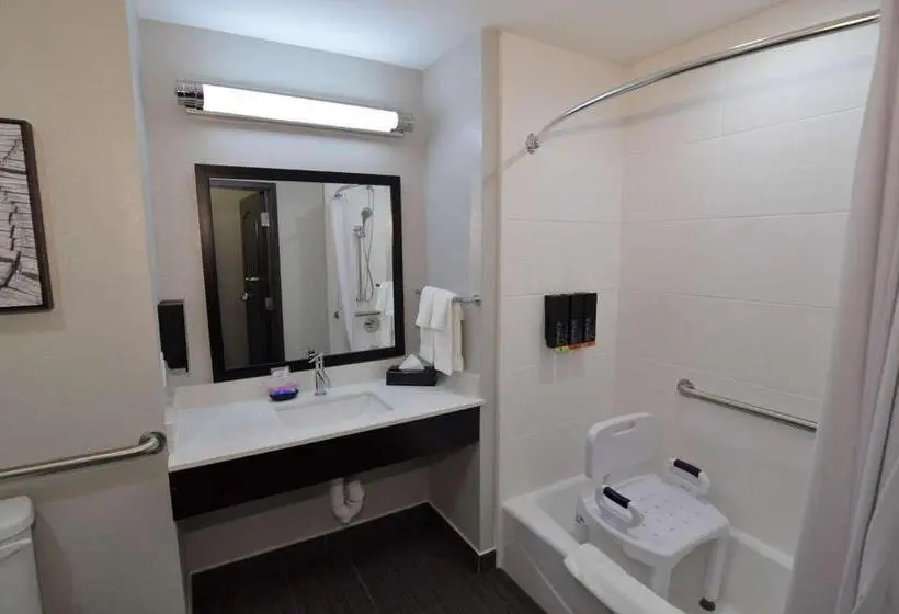 身障者適用キングサイズベッドルーム, Best Western Plus Bay City Inn & Suites