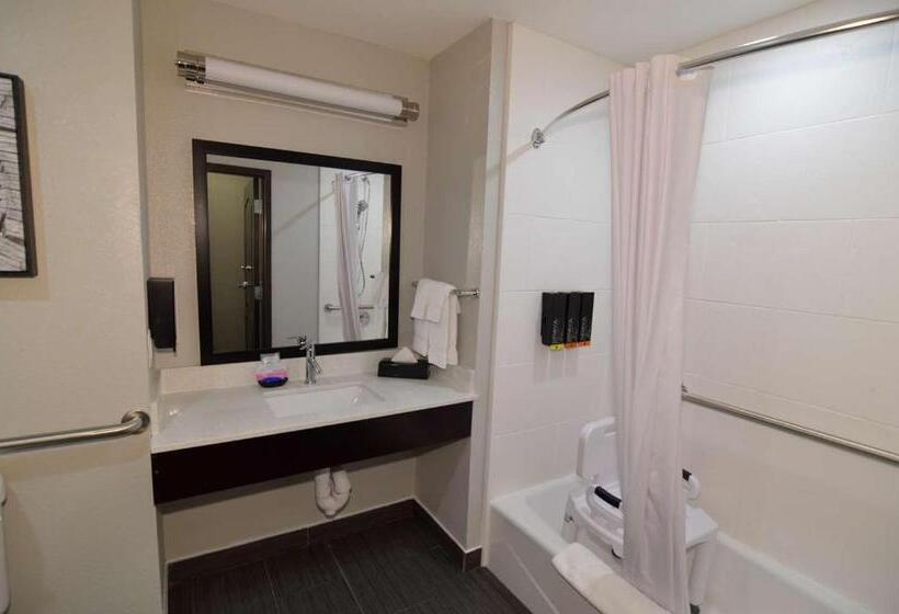 장애인을 위한 킹사이즈 침대 스탠다드 룸, Best Western Plus Bay City Inn & Suites