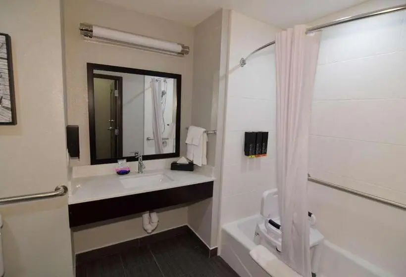 身障者適用キングサイズベッドルーム, Best Western Plus Bay City Inn & Suites