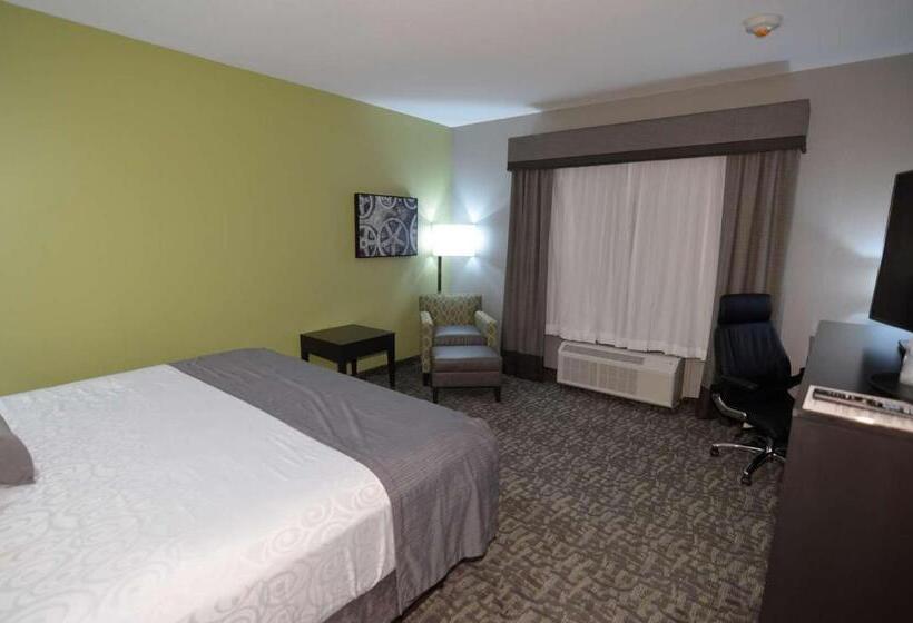 장애인을 위한 킹사이즈 침대 스탠다드 룸, Best Western Plus Bay City Inn & Suites