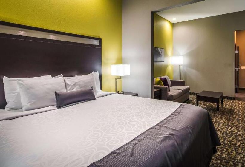 Номер Стандарт Кровать Кинг Адаптированный для Инвалидов, Best Western Plus Bay City Inn & Suites