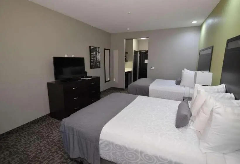 身障者適用スタンダードルーム, Best Western Plus Bay City Inn & Suites