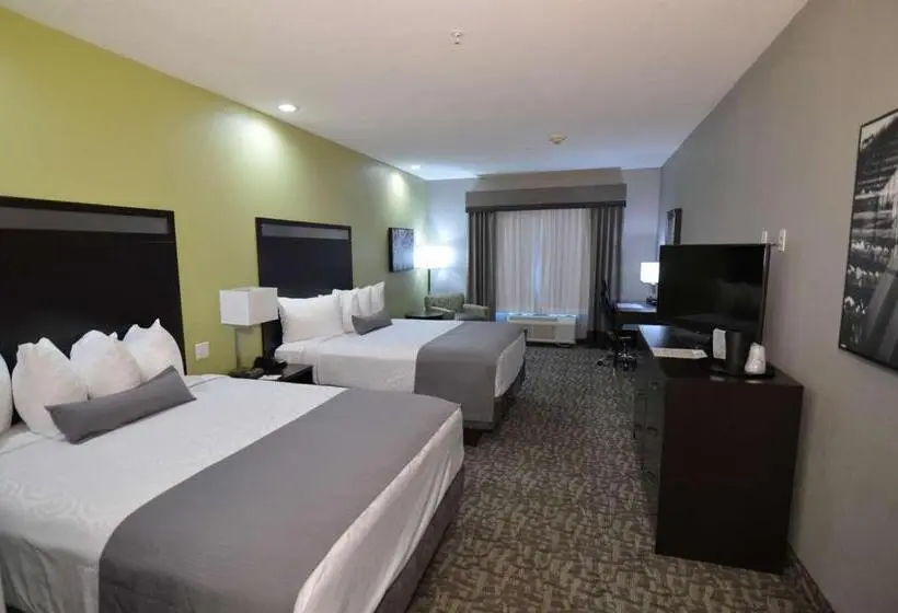身障者適用スタンダードルーム, Best Western Plus Bay City Inn & Suites