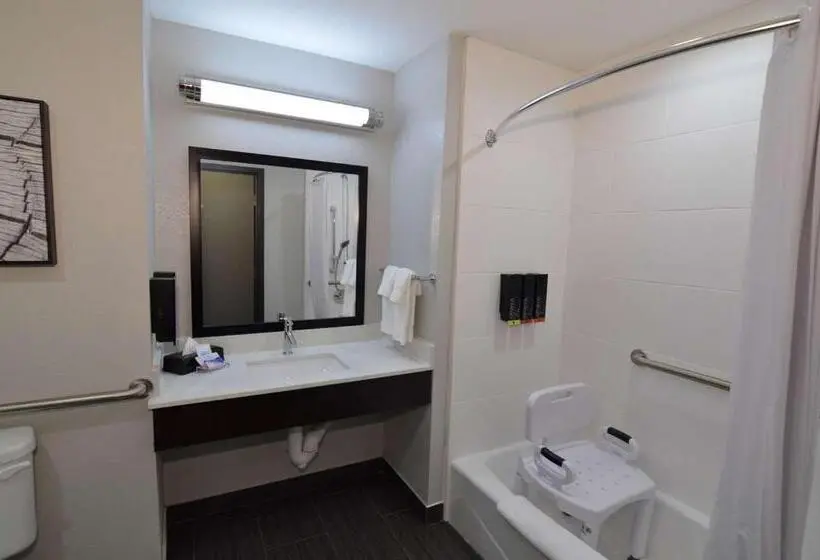 身障者適用スタンダードルーム, Best Western Plus Bay City Inn & Suites