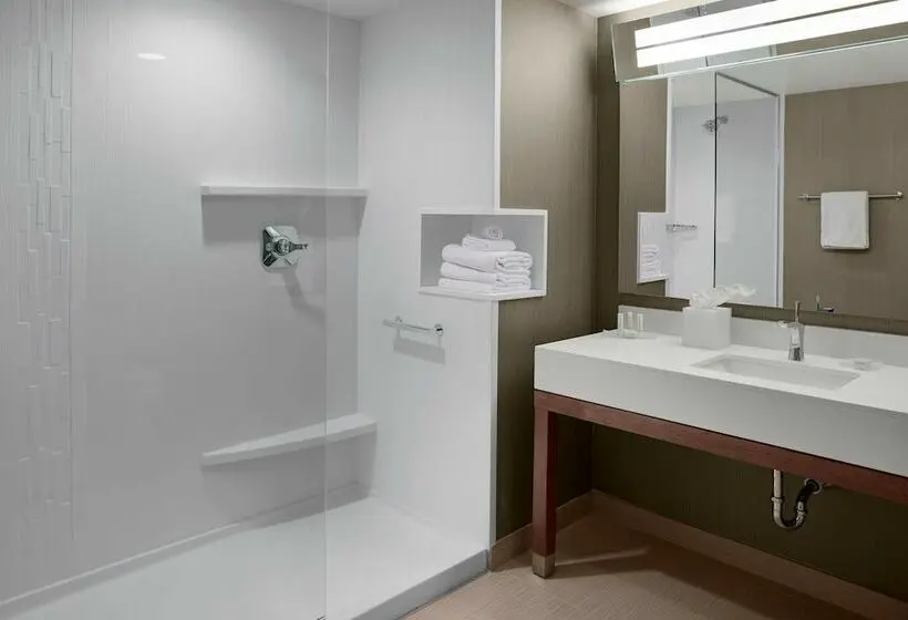 ダブルベッドスタンダードルーム, Courtyard By Marriott Dallas Flower Mound