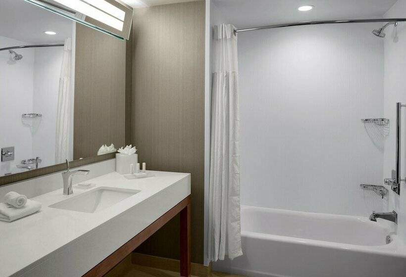 带2个双人床的标准工作室, Courtyard By Marriott Dallas Flower Mound